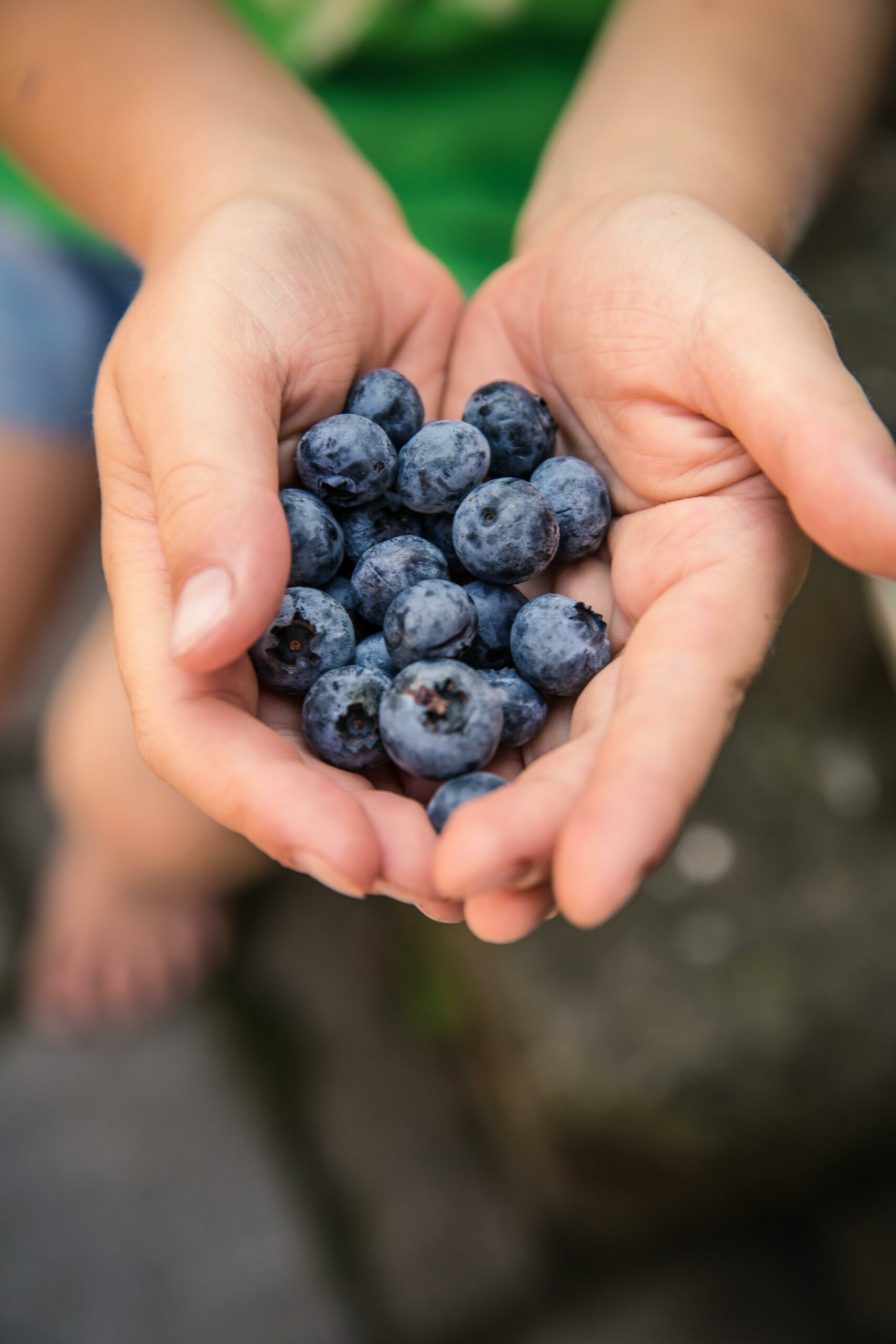 Beeren für ein starkes immunsystem